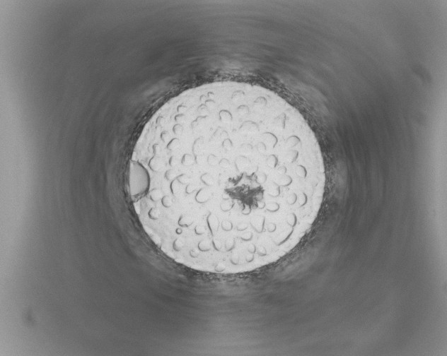 X0000115421105200912151557