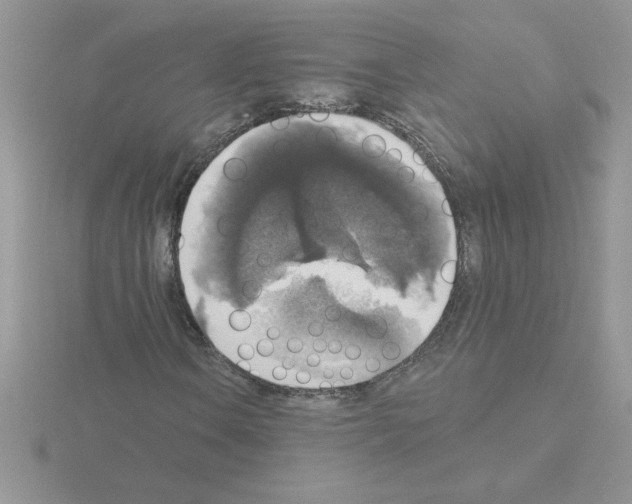 X0000115421106200912151557