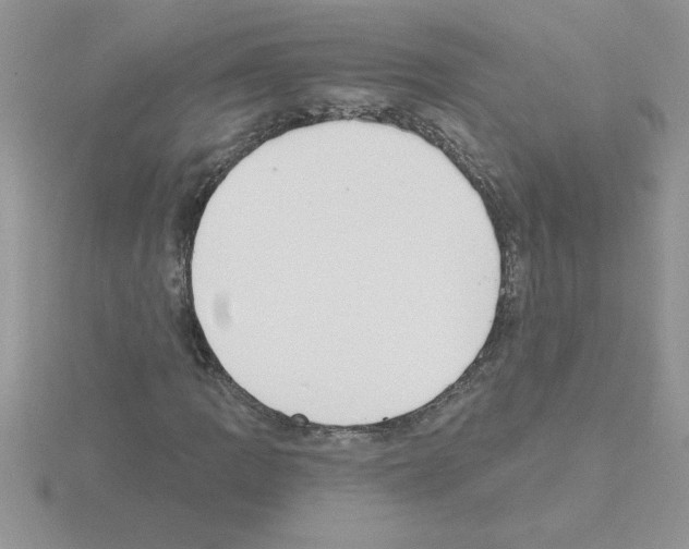 X0000115421109200912151557