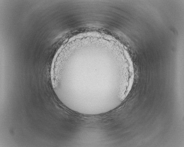 X0000115421110200912151557