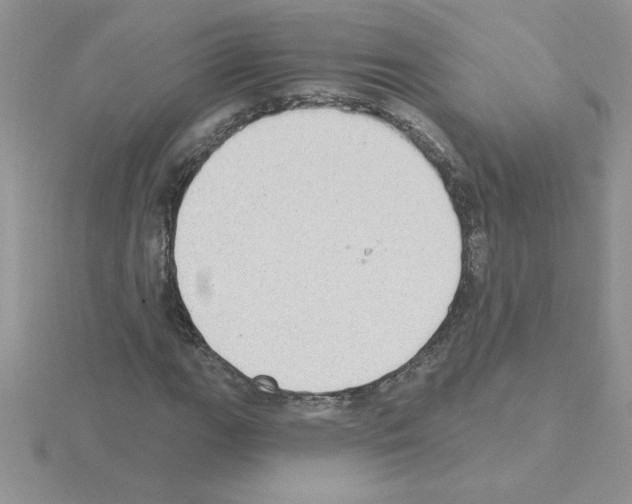 X0000115421111200912151557