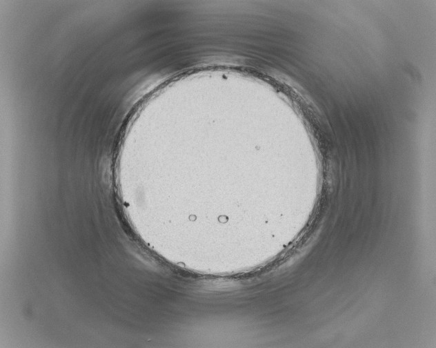 X0000115421113200912151557