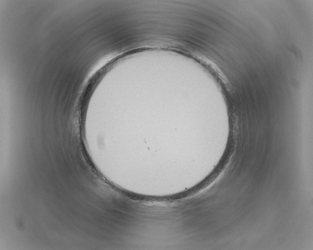 X0000115421114200912151557