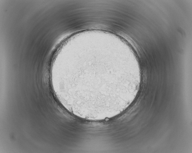 X0000115421115200912151557