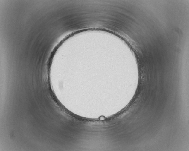 X0000115421118200912151557