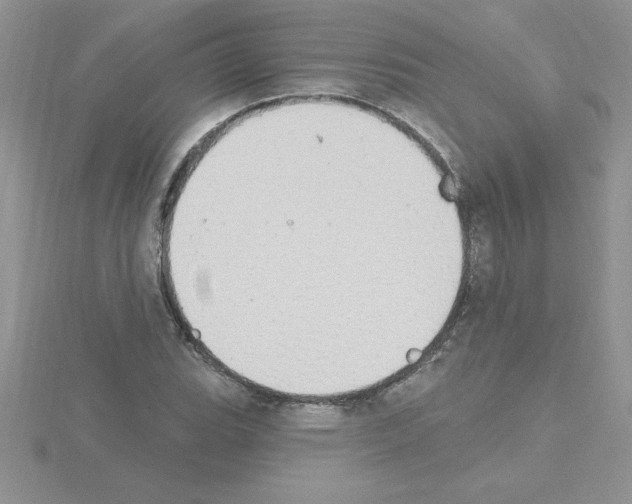 X0000115421119200912151557