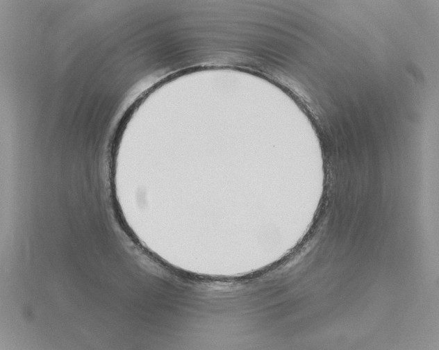 X0000115421122200912151557