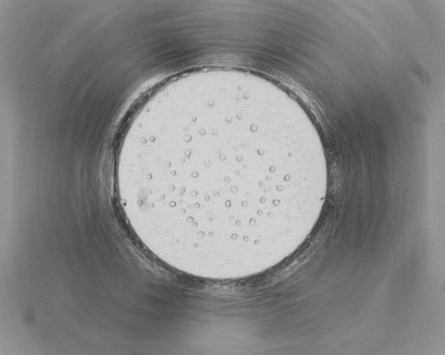 X0000115421123200912151557