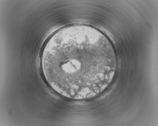 X0000115421125200912151557