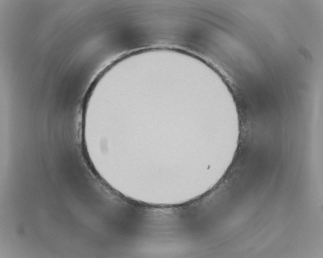 X0000115421126200912151557