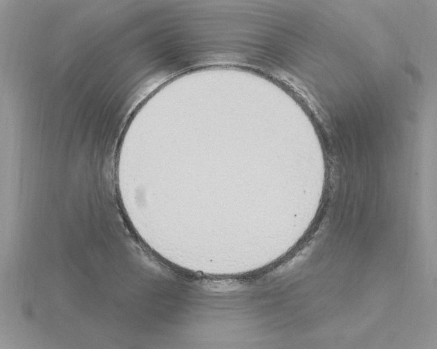 X0000115421129200912151557