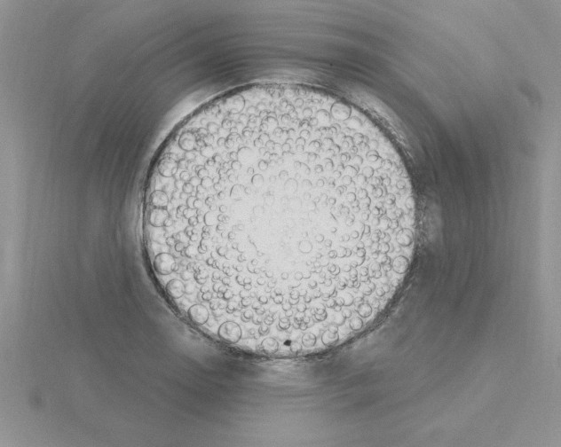 X0000115421130200912151557