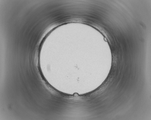 X0000115421131200912151557