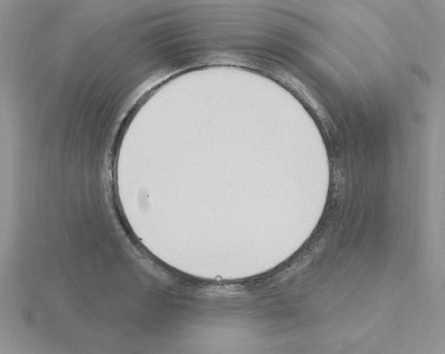 X0000115421133200912151557