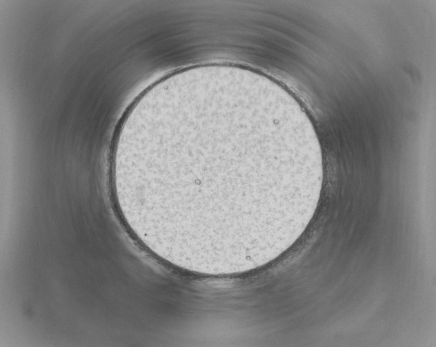 X0000115421134200912151557