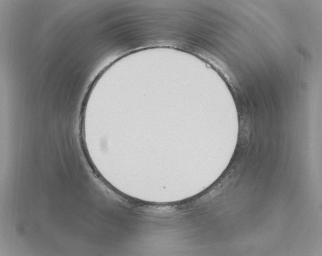 X0000115421135200912151557