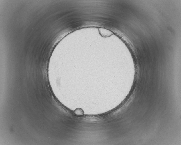 X0000115421137200912151557