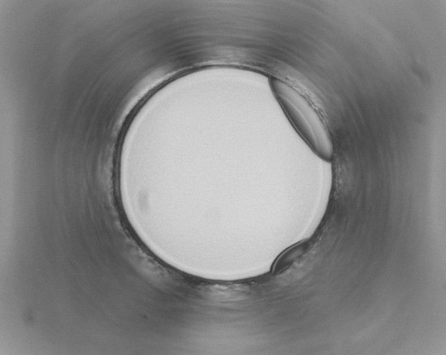 X0000115421138200912151557