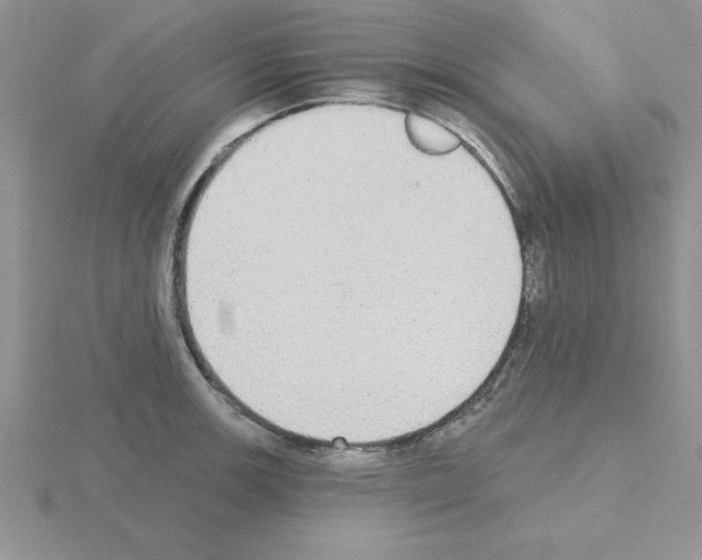 X0000115421139200912151557