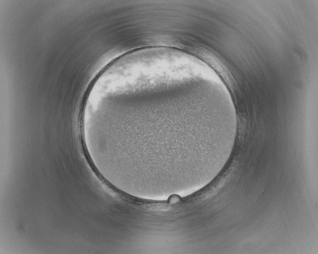 X0000115421141200912151557