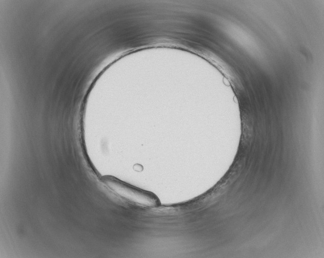 X0000115421142200912151557