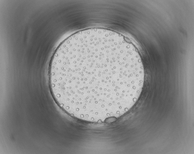 X0000115421143200912151557