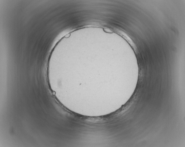 X0000115421146200912151558