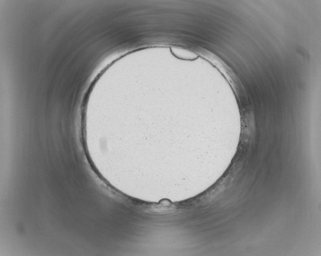 X0000115421147200912151558