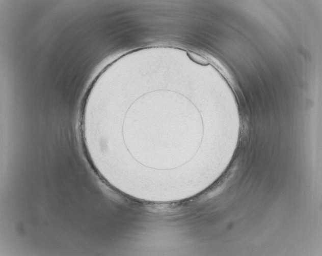 X0000115421149200912151558