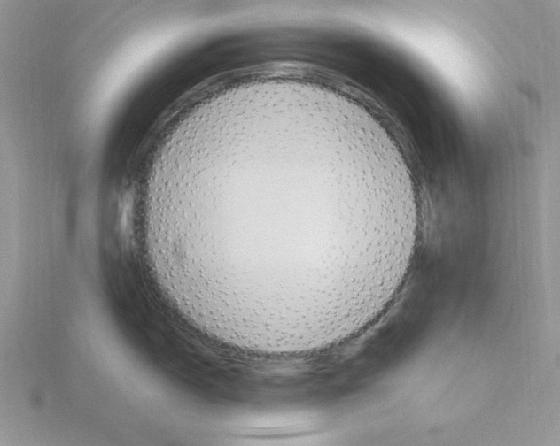 X0000115421150200912151558