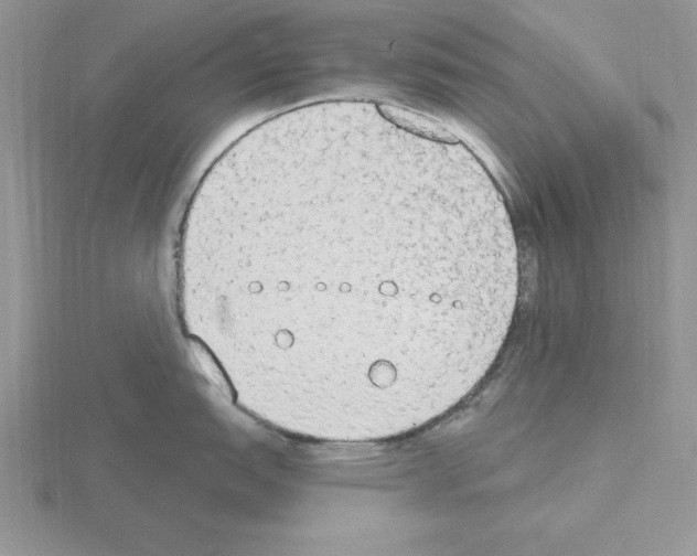 X0000115421151200912151558