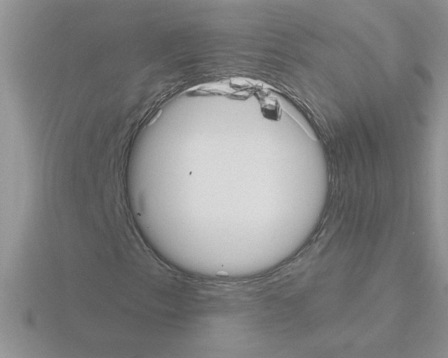 X0000115421153200912151557