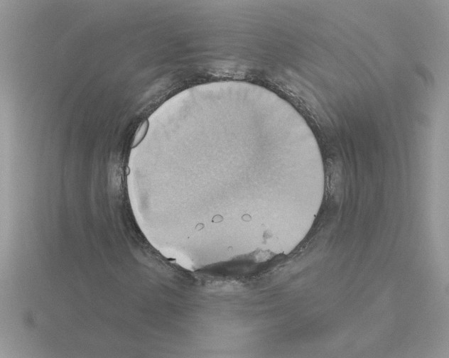 X0000115421154200912151557