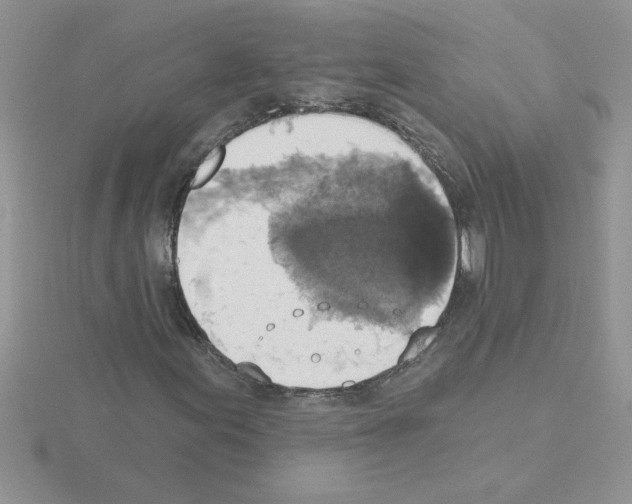 X0000115421155200912151557