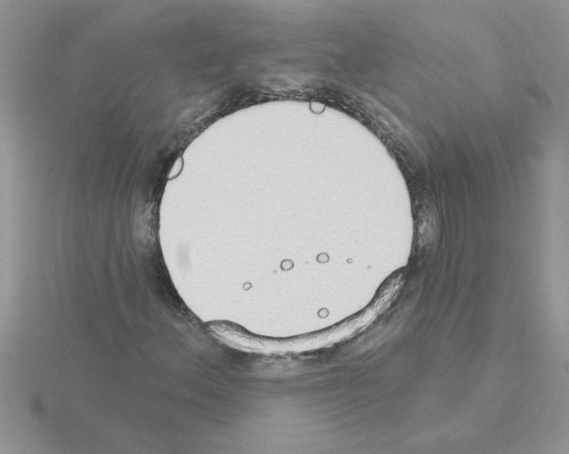 X0000115421156200912151557