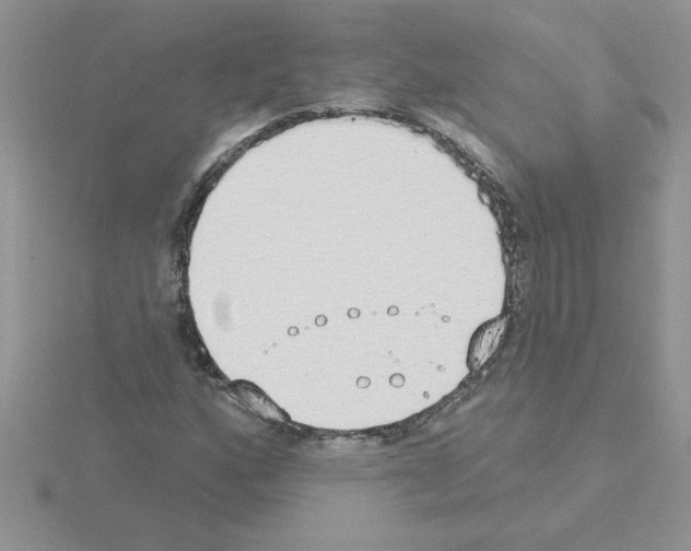 X0000115421160200912151557