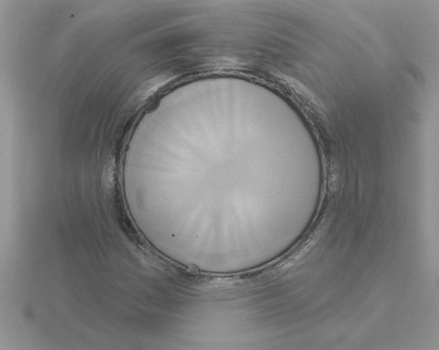 X0000115421161200912151557