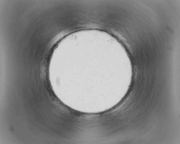 X0000115421163200912151557