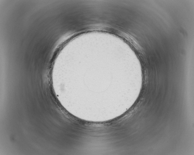 X0000115421164200912151557