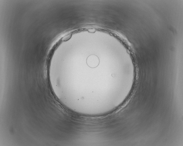 X0000115421167200912151557