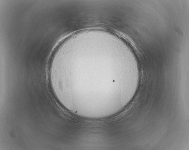 X0000115421168200912151557