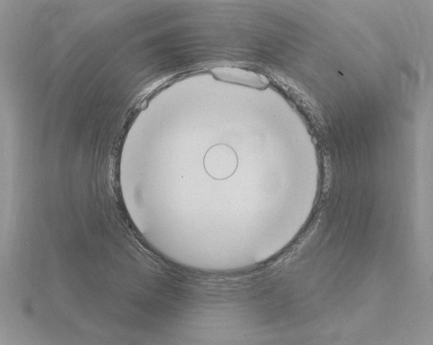 X0000115421169200912151557