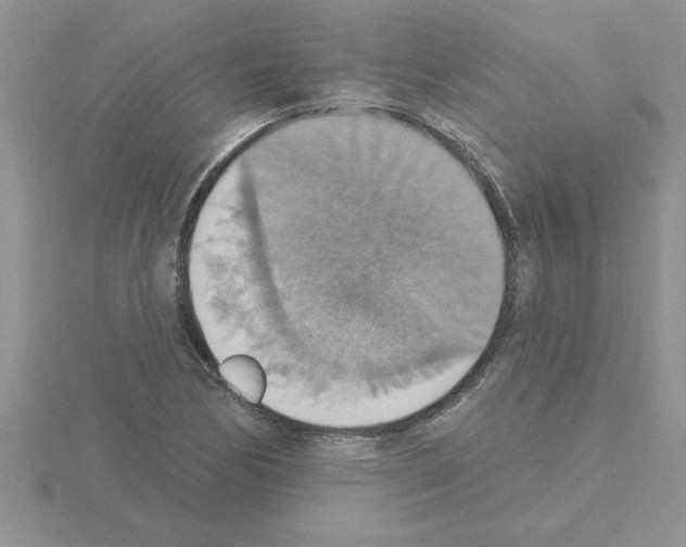 X0000115421170200912151557