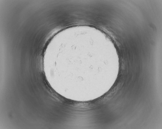 X0000115421171200912151557