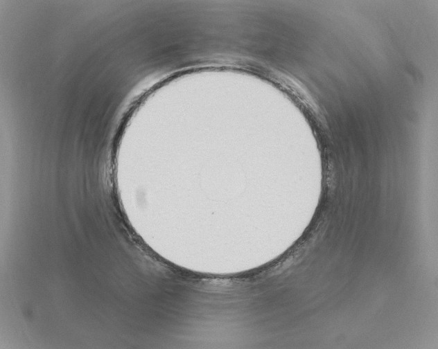 X0000115421172200912151557