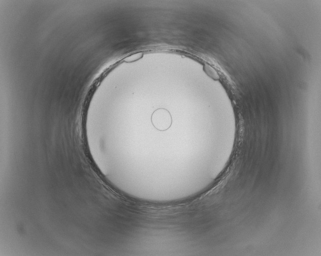 X0000115421173200912151557