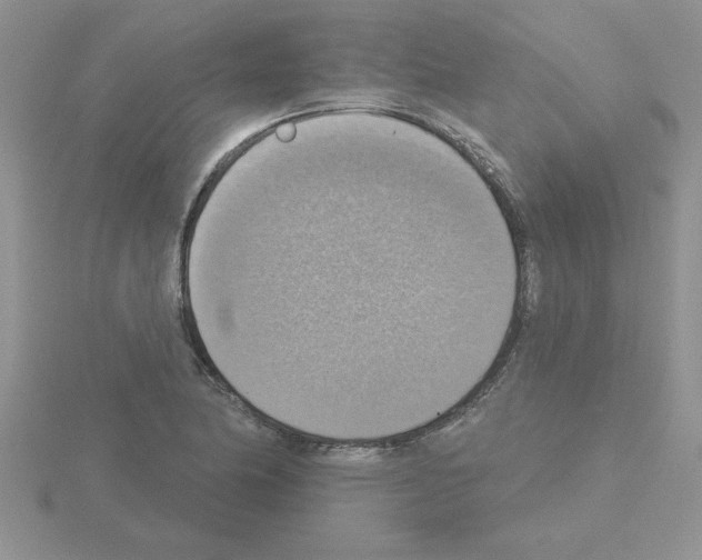 X0000115421174200912151557