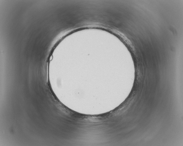 X0000115421175200912151557