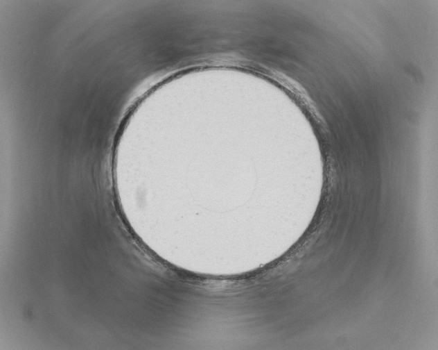 X0000115421176200912151557