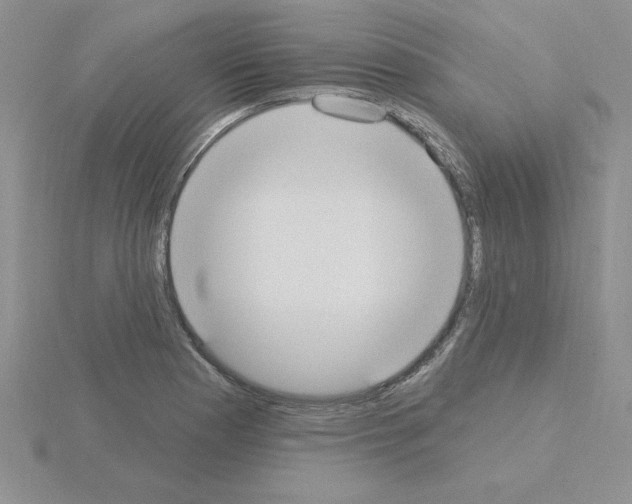 X0000115421177200912151557